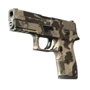 P250 | Black & Tan (Field-Tested)