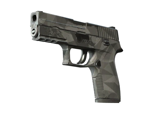 P250 | Facets (Field-Tested)