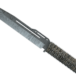 ★ StatTrak™ Paracord Knife | Damascus Steel (Field-Tested)