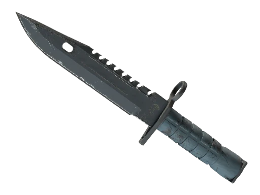 ★ M9 Bayonet | Night (Field-Tested)