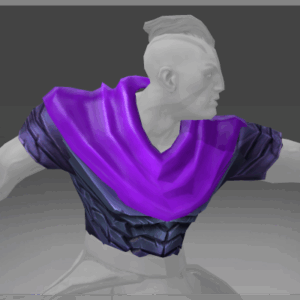 Tunic of the Survivor