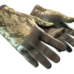 ★ Driver Gloves | Diamondback (Minimal Wear)