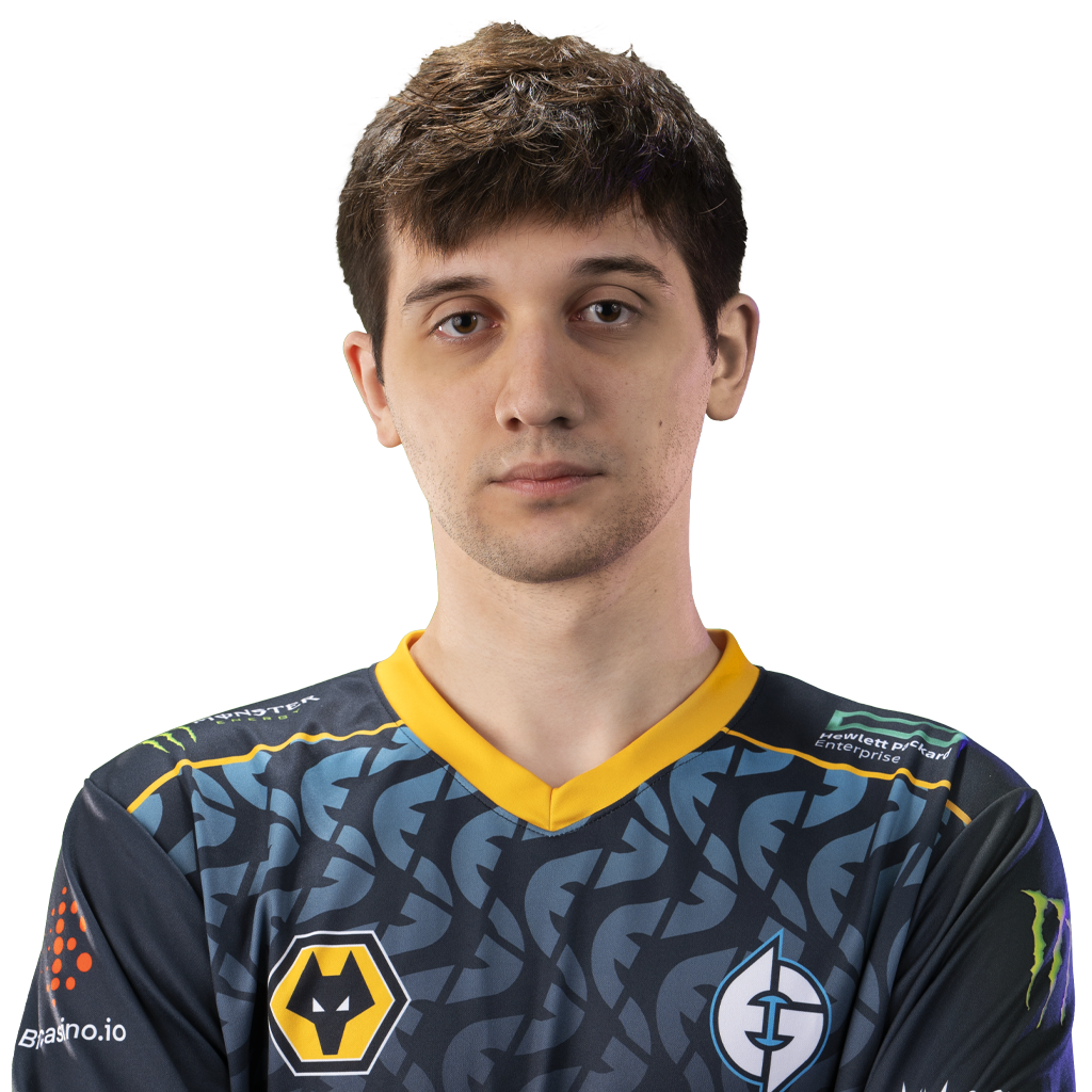 Gold 天鸽 Player Sticker - TI 2022