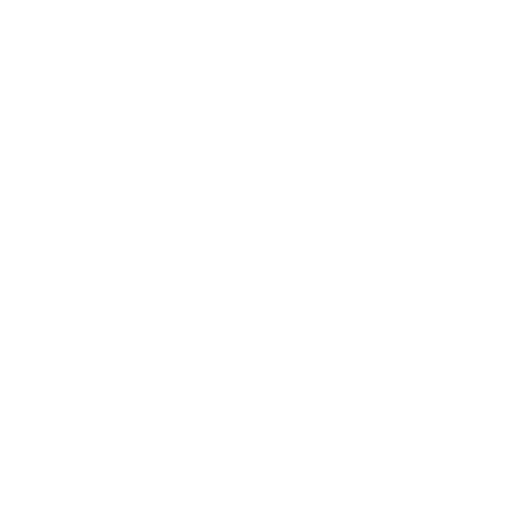 Holo Team Spirit Team Sticker - TI 2024