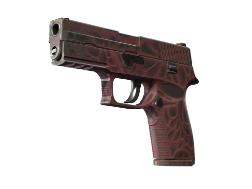 StatTrak™ P250 | Contaminant (Field-Tested)