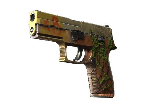 StatTrak™ P250 | Inferno (Well-Worn)