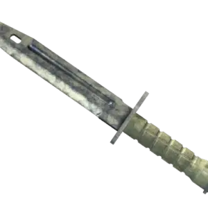 ★ Bayonet | Stained (Battle-Scarred)