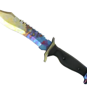 ★ Bowie Knife | Case Hardened (Well-Worn)