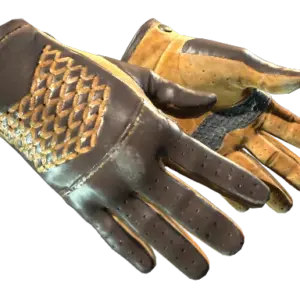 ★ Driver Gloves | Overtake (Well-Worn)