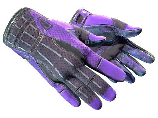 ★ Sport Gloves | Pandora's Box (Field-Tested)