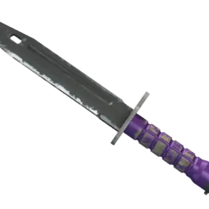 ★ StatTrak™ Bayonet | Ultraviolet (Well-Worn)