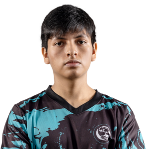 Gold payk Player Sticker - TI 2024