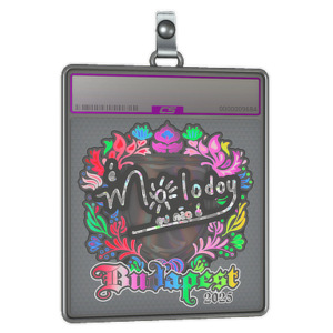 Sticker Slab | molodoy (Holo) | Budapest 2025