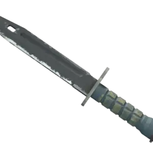 ★ StatTrak™ Bayonet | Night (Well-Worn)
