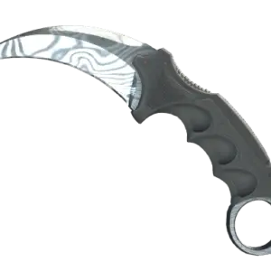 ★ StatTrak™ Karambit | Damascus Steel (Well-Worn)