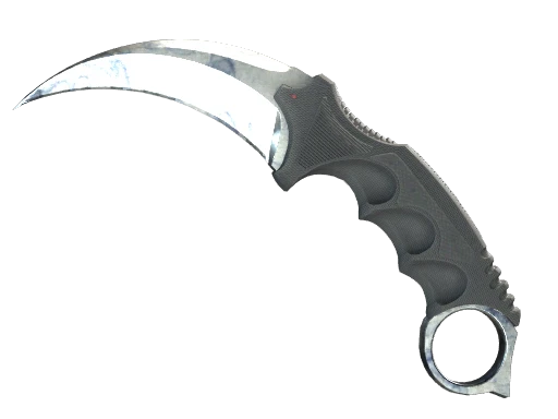 ★ StatTrak™ Karambit | Stained (Well-Worn)