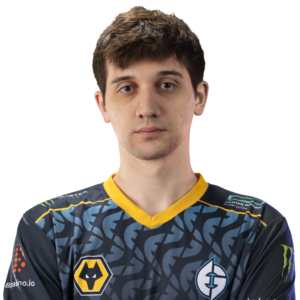 Gold 天鸽 Player Sticker - TI 2022