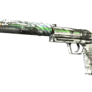 Souvenir USP-S | Road Rash (Factory New)