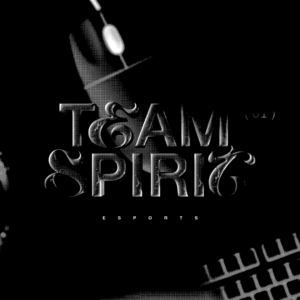Team Wallpaper - Team Spirit, Season 10, #2