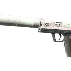 StatTrak™ USP-S | Printstream (Battle-Scarred)