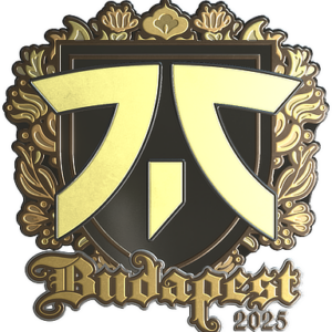 Sticker | fnatic (Gold) | Budapest 2025