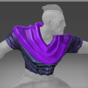 Tunic of the Survivor