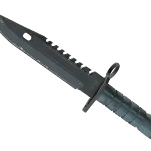 ★ M9 Bayonet | Night (Well-Worn)