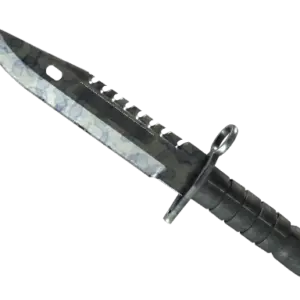 ★ M9 Bayonet | Stained (Well-Worn)
