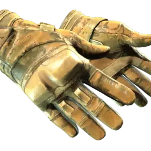 ★ Moto Gloves | Transport (Battle-Scarred)