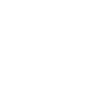 Holo Team Spirit Team Sticker - TI 2024