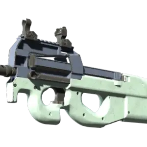 Souvenir P90 | Storm (Well-Worn)