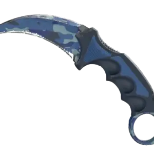 ★ Karambit | Bright Water (Well-Worn)
