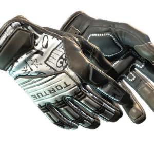 ★ Specialist Gloves | Blackbook (Well-Worn)