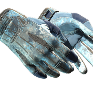 ★ Sport Gloves | Frosty (Field-Tested)