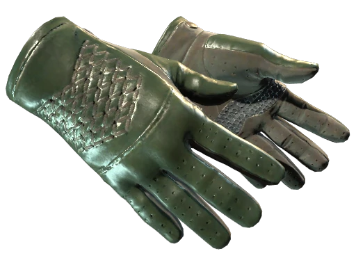 ★ Driver Gloves | Racing Green (Factory New)