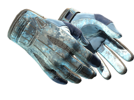 ★ Sport Gloves | Frosty (Field-Tested)