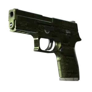 P250 | Iron Clad (Well-Worn)