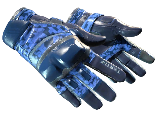 ★ Moto Gloves | Polygon (Factory New)