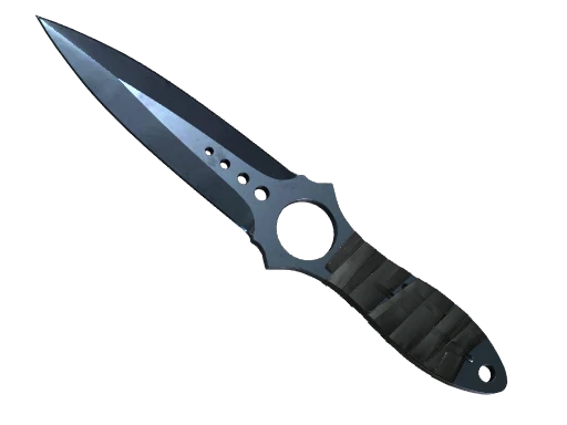 ★ Skeleton Knife | Blue Steel (Well-Worn)
