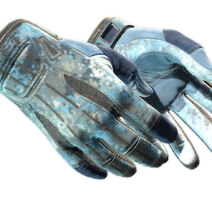 ★ Sport Gloves | Frosty (Factory New)